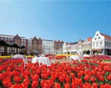 ハウステンボス「100万本の大チューリップ祭」に新スポット　いちごスイーツフェアも同時