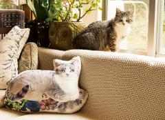 2月22日は「猫の日」だニャン♡猫まみれの至福イベント6選