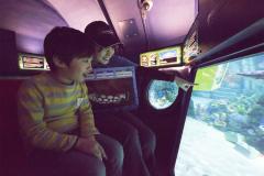 1日2組限定！レゴランドに新プログラム「ゴールデン・ブリック・エクスペリエンス」登場