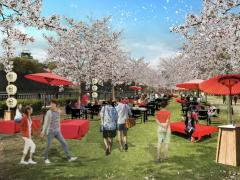 満開の桜咲く大阪城公園で“和のBBQ”　桜ライトアップの空間演出も