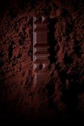 パリのチョコレート専門店「ル・ショコラ・アラン・デュカス」日本初上陸　世界初のイー