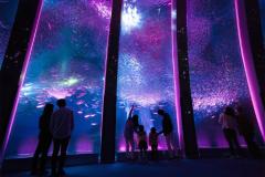 八景島シーパラダイス「SAKURA ISLAND 2018」開宴　イルカのナイトショーも