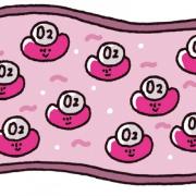 隠れ貧血チェックシート｜あなたの血液薄くありませんか？ |