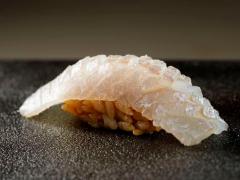 早くも「2018年を代表する店」と話題の鮨屋『はっこく』の魅力を徹底解剖！