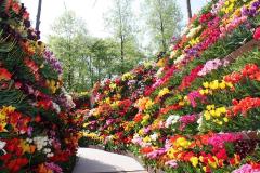 週末何する？次の休みに行くお出かけスポット7選vol.125