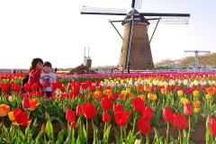 感動の「お花畑」5選！開花ラッシュ＆絶景が楽しめる都内近郊のフラワーフェスまとめ