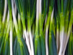 知って得する！美味しい野菜の見分け方