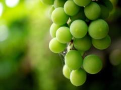 さっぱり保湿で肌が変わると噂♡みんなが使ってる無印良品「クリアケアシリーズ」