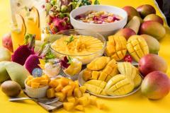 週末何する？次の休みに行くお出かけスポット9選vol.128