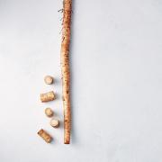 旬をまるごと！ 家呑みごはん #2｜豊富な食物繊維が腸内環境を整える！『新ごぼう』 |