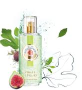 初夏の香りはみずみずしく♡爽やかな果実のフレングランスBEST３ - LOCARI（ロカリ）