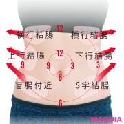 知ってた？ 腸を整えれば人生まるっと上向く！【腸の健康チェックリスト付き】 | マキアオ
