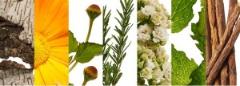 ジュリークの新クレンジング＆洗顔料は、33年間植物と向き合った成果を結集！【渡辺佳子さ