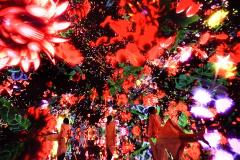 豊洲に“2年限定”巨大デジタルアート空間「チームラボ プラネッツ」がオープン