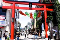 「暇な日、何しよう？」気軽にサクッと行けて一人の休日が大充実！鎌倉お散歩スポットま