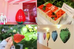 1年365日イチゴ狩りができる「東京ストロベリーパーク」イチゴ好きの楽園に潜入