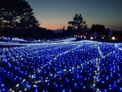 この夏登場の旬スポット！今、大ブームの“恐竜”イルミネーションに注目