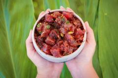 9月に開催されるおいしいイベント「ライスフェスト」と「ポケフェスト」