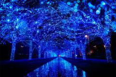 「青の洞窟SHIBUYA」2018年も開催決定　大晦日はオールナイト点灯