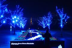 “動画映え”イルミが品川に登場　東京タワーをバックに色とりどりに煌めく