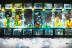 週末何する？次の休みに行くお出かけスポット12選vol.154