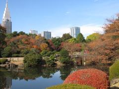 「次のデート、どこ行こう？」なら新宿へ！二人の休日をランクアップさせる、新宿一日デ