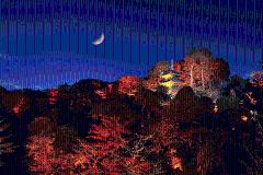 今秋に行きたい「紅葉ライトアップ」TOP10！アートイルミとのコラボなど、SNS映えもバッチリ