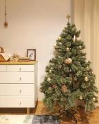 オシャレなクリスマスツリーに憧れる♡SNSで人気のツリー５種を徹底解剖！ -