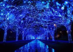 この冬見たい「イルミネーション」TOP10！青の洞窟から約100万球のLED通りまで