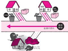 “ゴースト血管”って知ってる？ 細胞への血流は自律神経が関係していた！ |