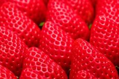 5日間限定！いちご三昧なカフェがオープンするよ～っ