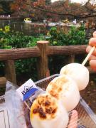 吉祥寺・井の頭公園の最新オシャレデリ＆カフェ特集 -