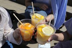 「レモンサワーフェス2019」全国5都市で開催決定、1番人気の一杯を選ぶ決定戦も