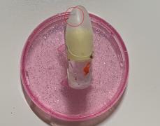 亀裂を自分でリペア！ネイル女子の大敵、亀裂のリペア方法をご紹介 - ビューティーガール