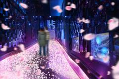すみだ水族館「桜とクラゲ」の体感型展示、春の雰囲気に包まれる新しい花見