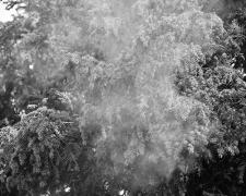 肌老化を引き起すPM2.5や花粉…“ポリューション”対策法を医師が指南！ |