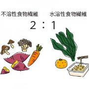 やせる鍵は食物繊維！【美腸ダイエット】│太りやすい体の原因・便秘を解消するレシピ・