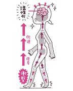 骨は適度に衝撃を与えていないと、エイジングが加速する！？ メカニズムを医師が解説！