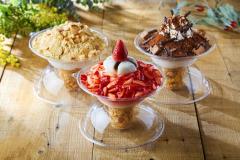 ソルビン「生いちごソルビンゴ」が日本初登場　いちごと大福をトッピング