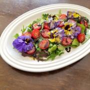 “映え”だけでなく栄養価にも注目！「エディブルフラワーの彩りサラダ」Today’s SALAD