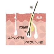 女医が教える男子の“夏の汗とニオイ”。年代ごとに異なるニオイのケアもマスト！ |