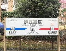 人混みのストレスなし！ “泊まれるサロン”がコンセプトの、伊豆の隠れ家ホテル【キレイ