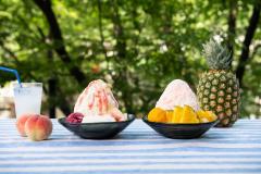 アイスモンスター、カルピスかき氷が限定登場　人気台湾ドリンクの新フレーバーも