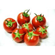 トマトは美肌に効果的！トマトの効果効能や、美容に良い美味しい効果的な食べ方をまとめ