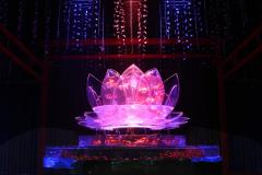 「アートアクアリウム2019」過去最大規模で開催　鮮やかな金魚舞う