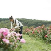 「ジュリーク」のオーストラリア産自社農園のローズから！新スキンケアライン誕生【渡辺