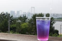 「avex dining oasis」お台場にイケメン店員が接客する食×音楽ダイニング誕生