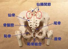寝ながらできる簡単な産後の骨盤ストレッチでガードルを卒業！ |