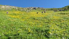 週末何する？最新お出かけスポット10選vol.190【8月3～4日】