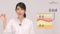 動画で医師に学ぼう！ 「老け細胞」を「赤ちゃん細胞」へと導くには…⁉　友利新先生の“